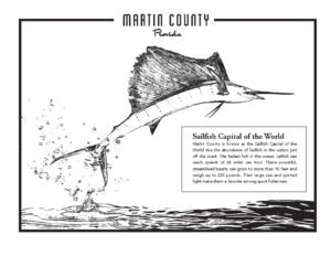 Sailfish capital of the world