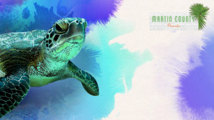 Sea Turtle tie-dye