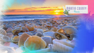 Seashell beach at sunset
